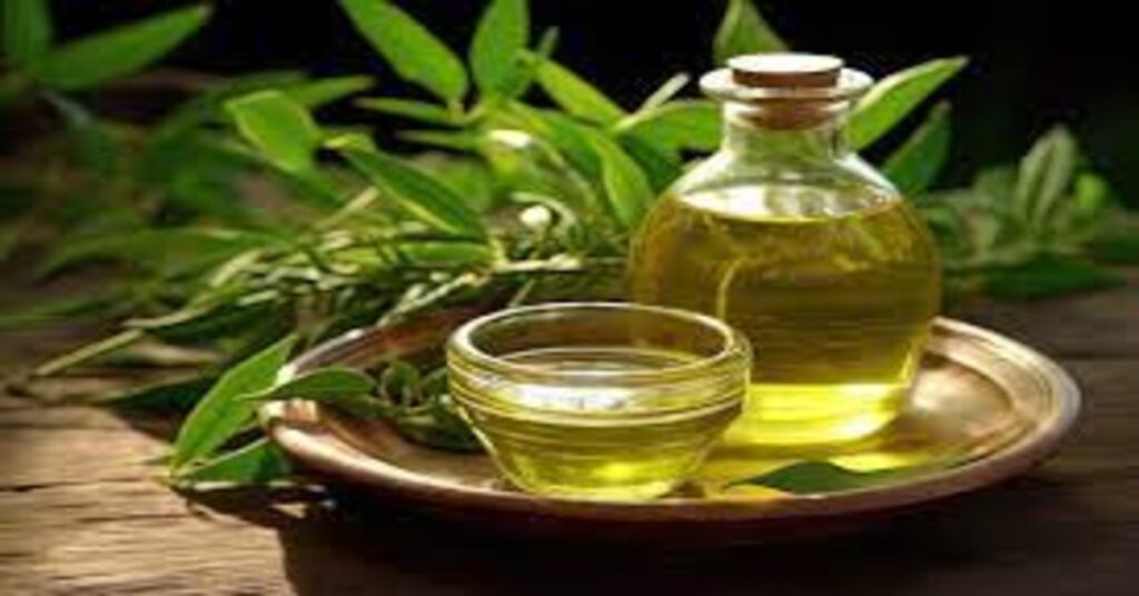 Best Tea Tree Oil in Delhi– Pure & Natural