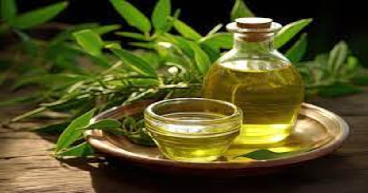 Best Tea Tree Oil in Delhi– Pure & Natural