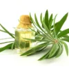 Cajeput Oil Manufacturer In Delhi